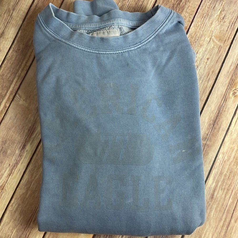 American Eagle Outfitters  men’s sweatshirt - blue size large